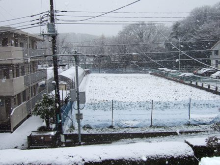 DSCF0144.jpg